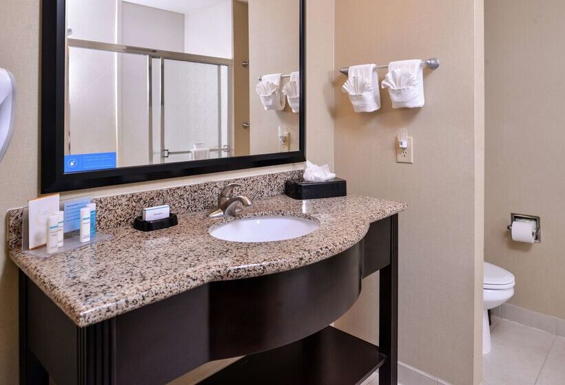 호텔 Hampton Inn & Suites Big Spring