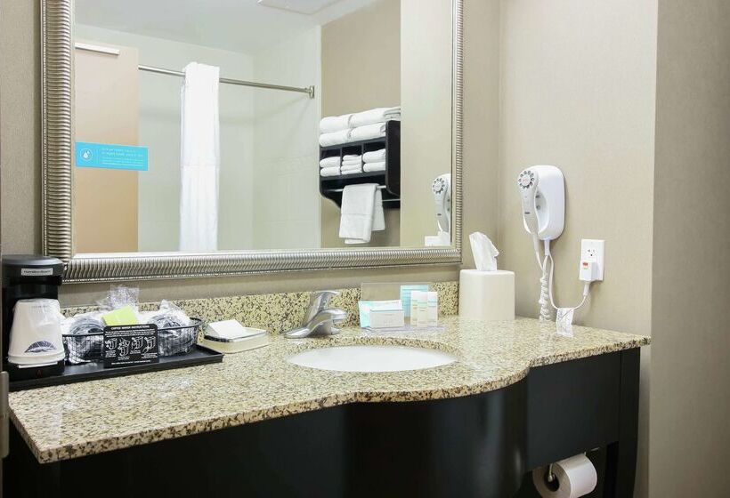 Hotel Hampton Inn And Suites Flowery Branch