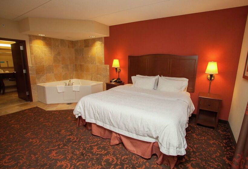 هتل Hampton Inn Elmira/horseheads