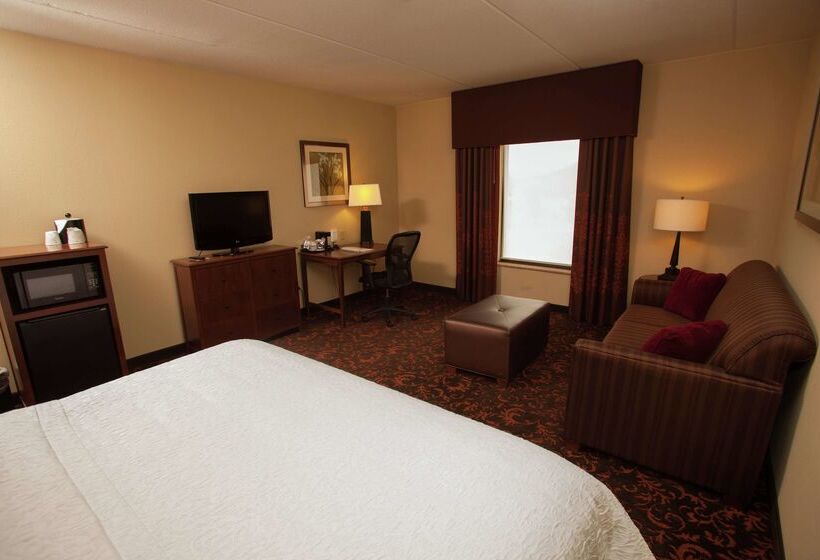 هتل Hampton Inn Elmira/horseheads