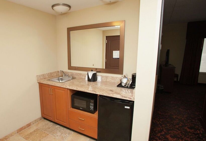 هتل Hampton Inn Elmira/horseheads