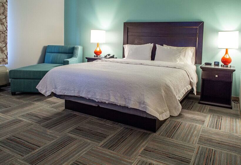 Fotos del hotel Hampton Inn Miami:  3
