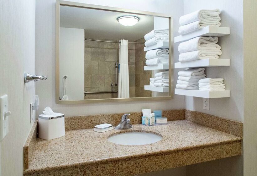 Fotos del hotel Hampton Inn Miami:  47