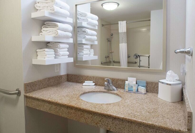 Fotos del hotel Hampton Inn Miami:  56