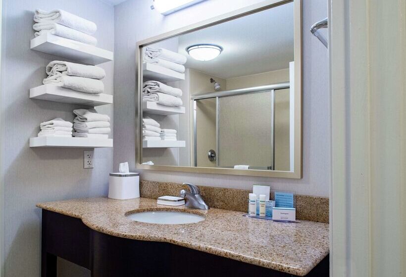 Fotos del hotel Hampton Inn Miami:  7
