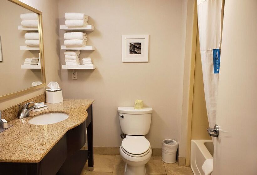 Fotos del hotel Hampton Inn Miami:  4