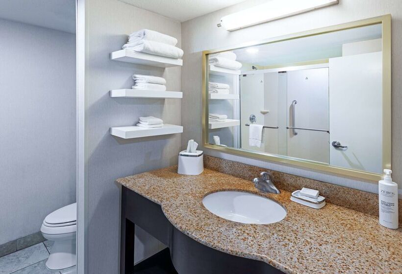 Fotos del hotel Hampton Inn Miami:  52