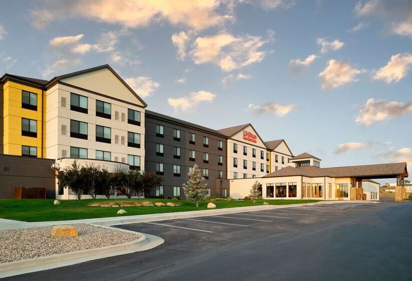 هتل Hilton Garden Inn Rapid City