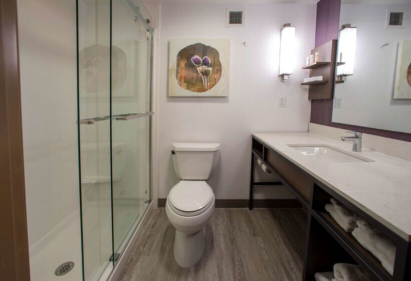 هتل Hilton Garden Inn Rapid City