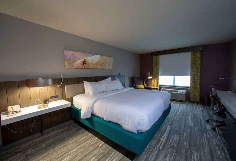 هتل Hilton Garden Inn Rapid City