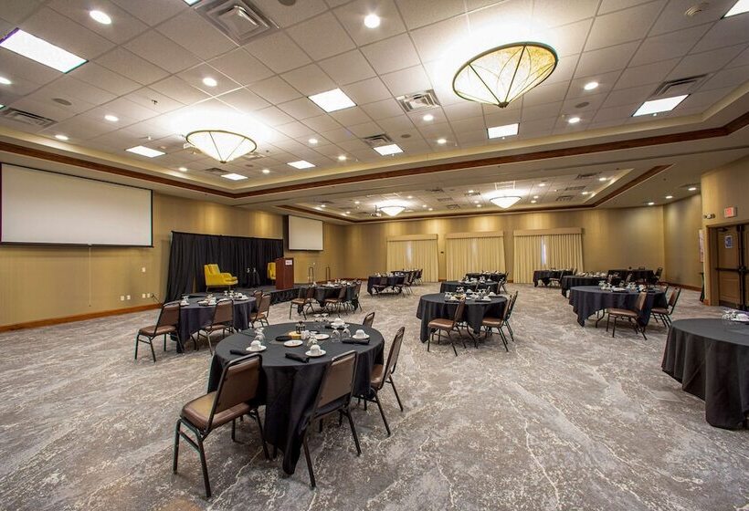 هتل Hilton Garden Inn Rapid City