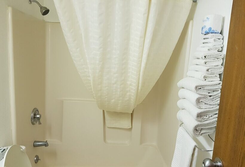 ホテル Le Mars Inn And Suites