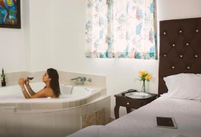 Fotos del hotel Luis V:  8