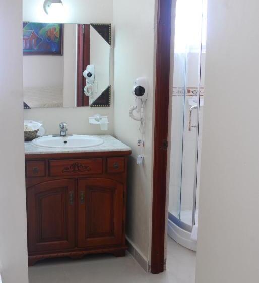 Fotos del hotel Luis V:  16