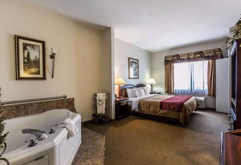 هتل Quality Inn & Suites