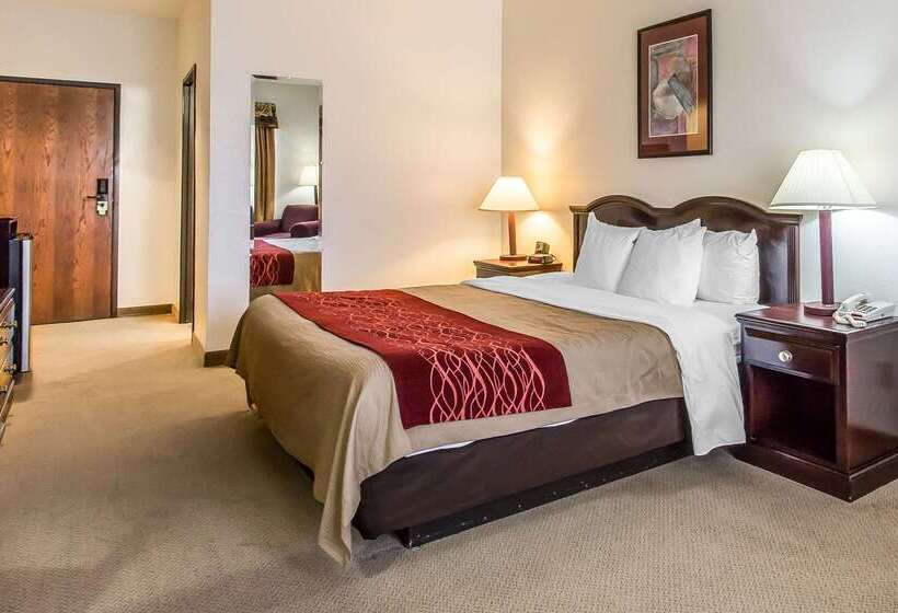 هتل Quality Inn & Suites