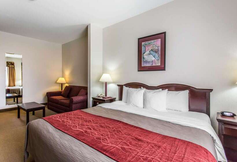 هتل Quality Inn & Suites