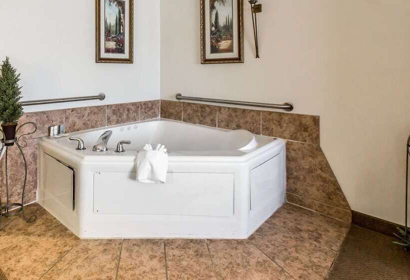 هتل Quality Inn & Suites