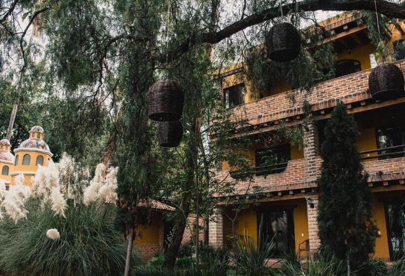 فندق Quinta San Carlos