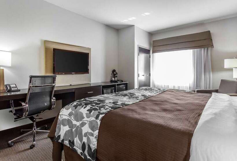 هتل Sleep Inn And Suites Lubbock