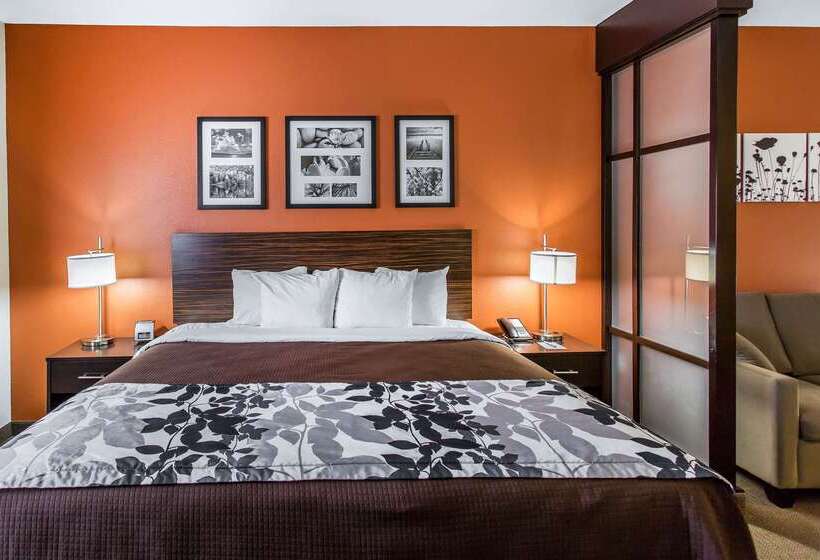 هتل Sleep Inn And Suites Lubbock