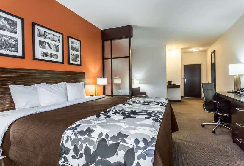 ホテル Sleep Inn And Suites Lubbock