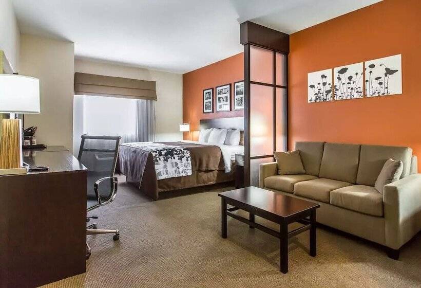 هتل Sleep Inn And Suites Lubbock