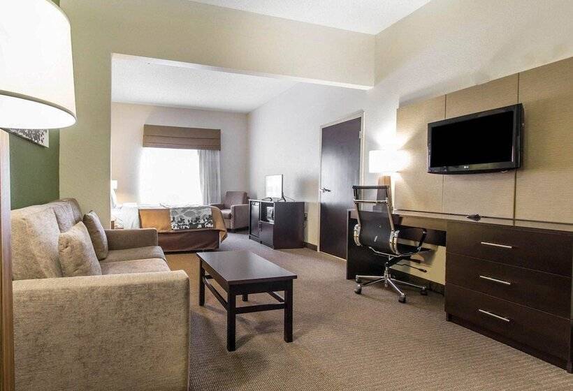 Отель Sleep Inn & Suites