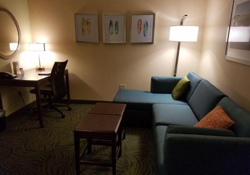 فندق Springhill Suites Gainesville