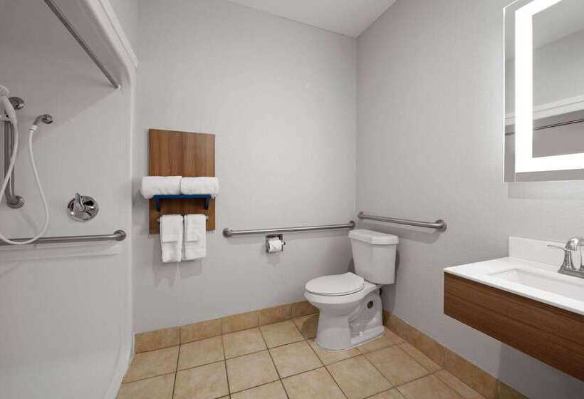 Microtel Inn & Suites By Wyndham Of Houma