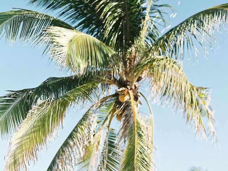 Northwest Point Resort