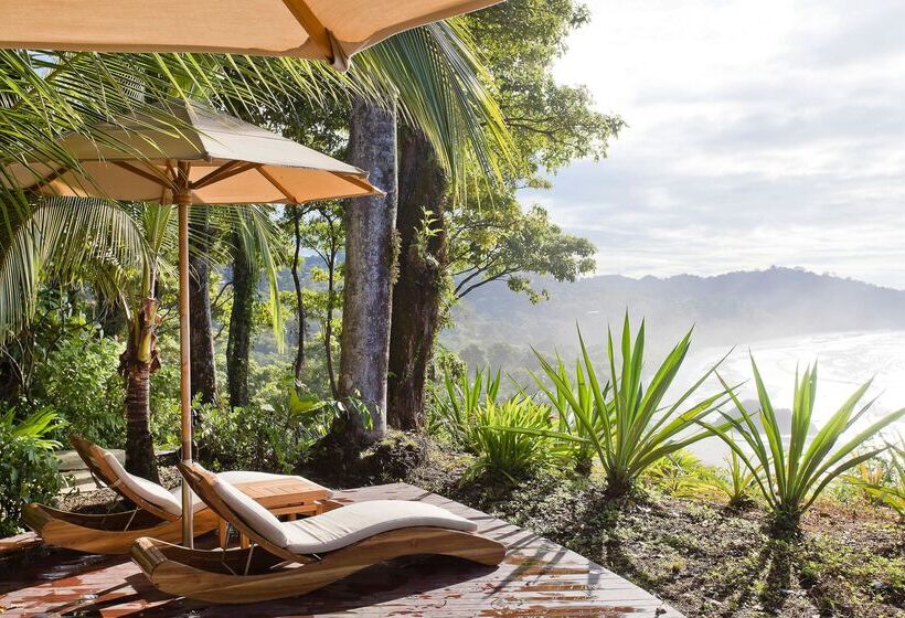 Arenas Del Mar Beachfront & Rainforest Resort Member Of The Cayuga Collection