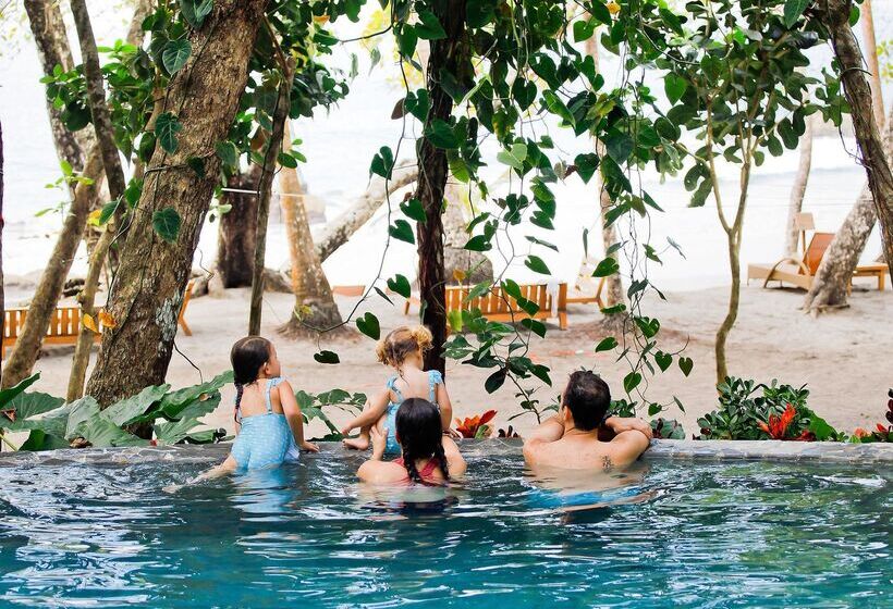Arenas Del Mar Beachfront & Rainforest Resort Member Of The Cayuga Collection