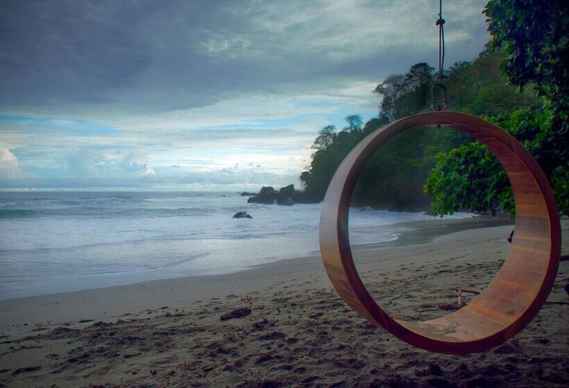 Arenas Del Mar Beachfront & Rainforest Resort Member Of The Cayuga Collection