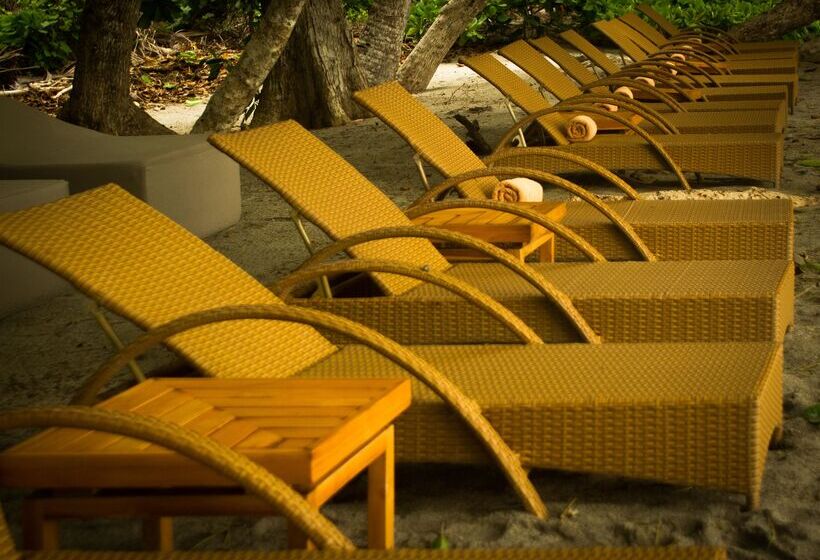 Arenas Del Mar Beachfront & Rainforest Resort Member Of The Cayuga Collection