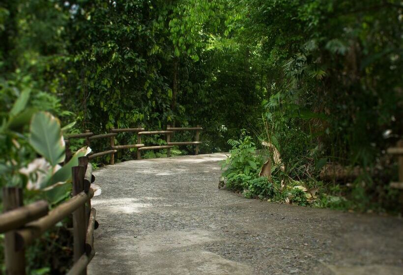 Arenas Del Mar Beachfront & Rainforest Resort Member Of The Cayuga Collection
