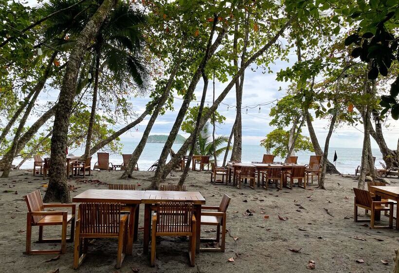 Arenas Del Mar Beachfront & Rainforest Resort Member Of The Cayuga Collection