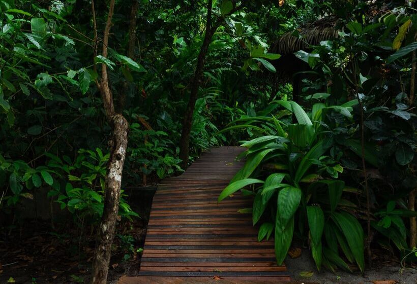Arenas Del Mar Beachfront & Rainforest Resort Member Of The Cayuga Collection