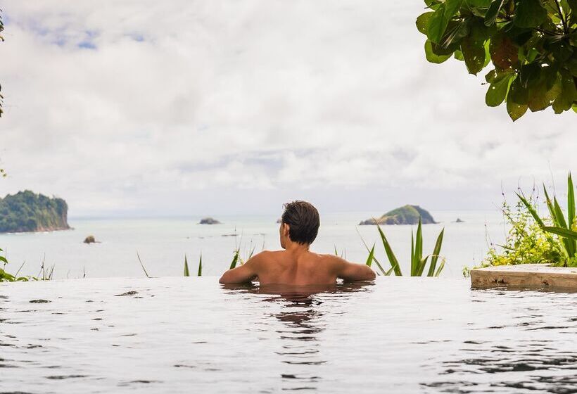 Arenas Del Mar Beachfront & Rainforest Resort Member Of The Cayuga Collection