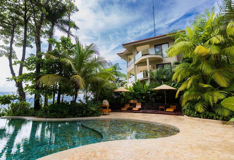 Arenas Del Mar Beachfront & Rainforest Resort Member Of The Cayuga Collection