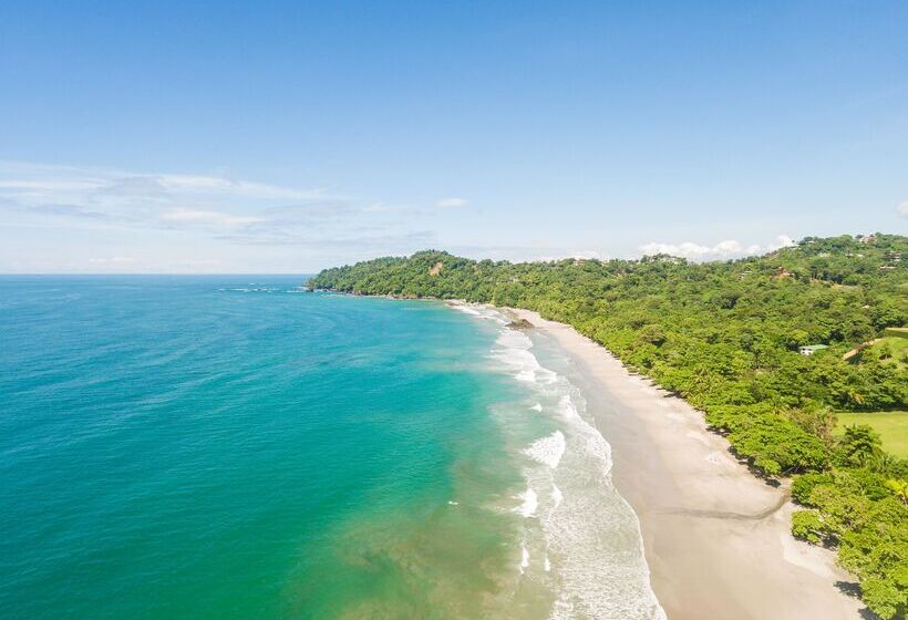 Arenas Del Mar Beachfront & Rainforest Resort Member Of The Cayuga Collection