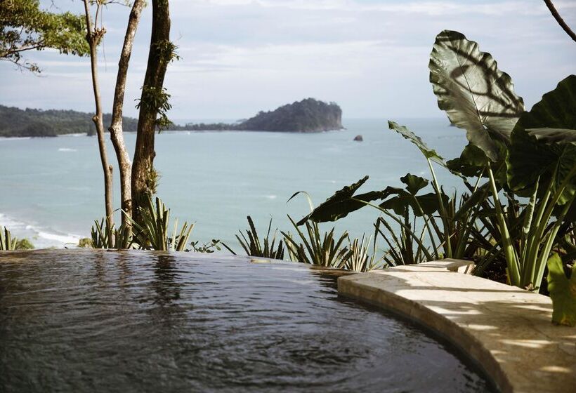 Arenas Del Mar Beachfront & Rainforest Resort Member Of The Cayuga Collection