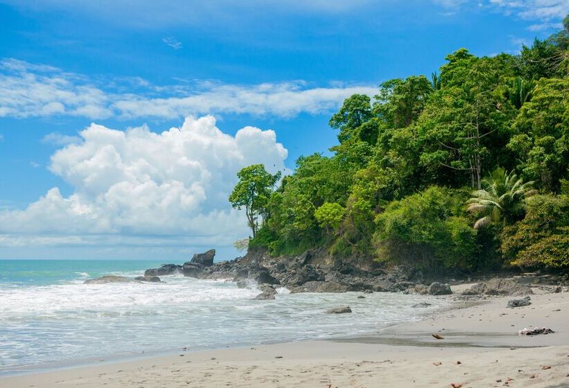 Arenas Del Mar Beachfront & Rainforest Resort Member Of The Cayuga Collection