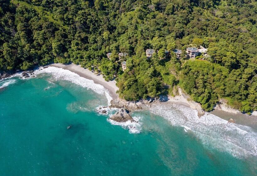 Arenas Del Mar Beachfront & Rainforest Resort Member Of The Cayuga Collection