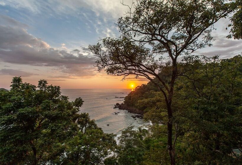 Arenas Del Mar Beachfront & Rainforest Resort Member Of The Cayuga Collection
