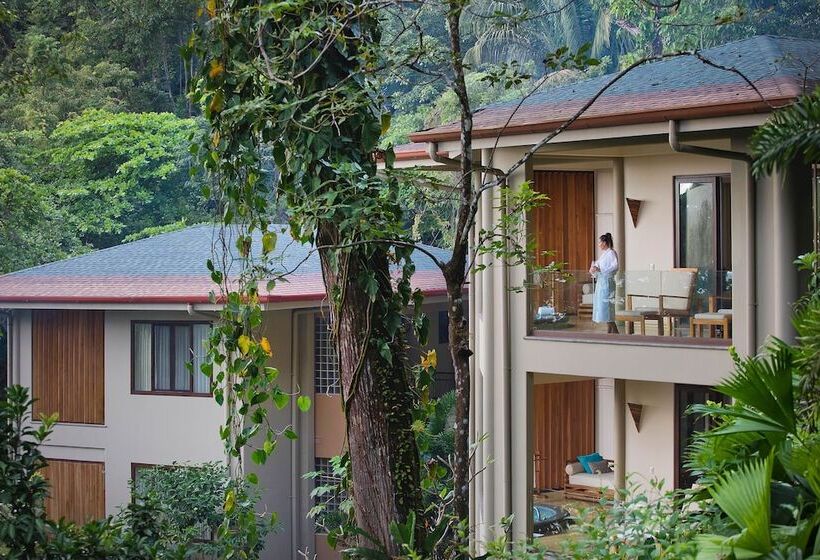 Arenas Del Mar Beachfront & Rainforest Resort Member Of The Cayuga Collection
