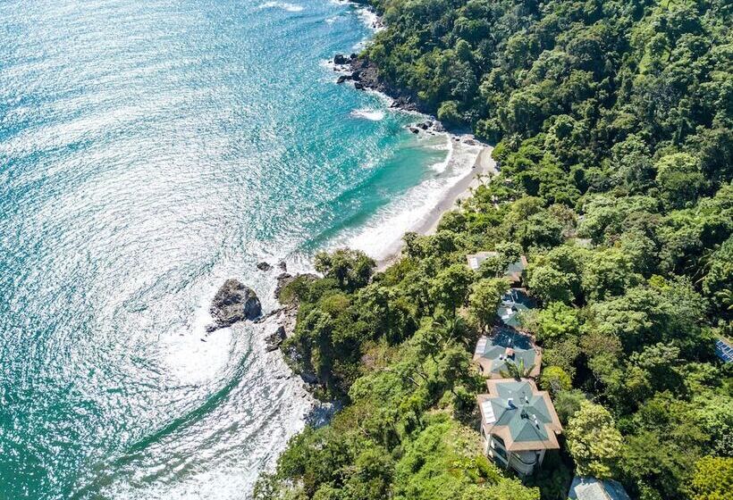 Arenas Del Mar Beachfront & Rainforest Resort Member Of The Cayuga Collection