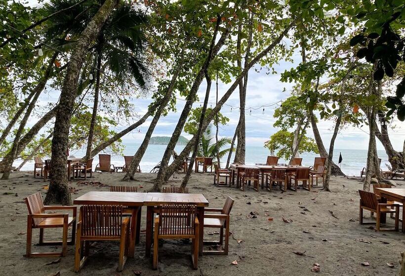 Arenas Del Mar Beachfront & Rainforest Resort Member Of The Cayuga Collection
