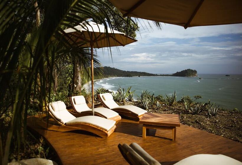 Arenas Del Mar Beachfront & Rainforest Resort Member Of The Cayuga Collection