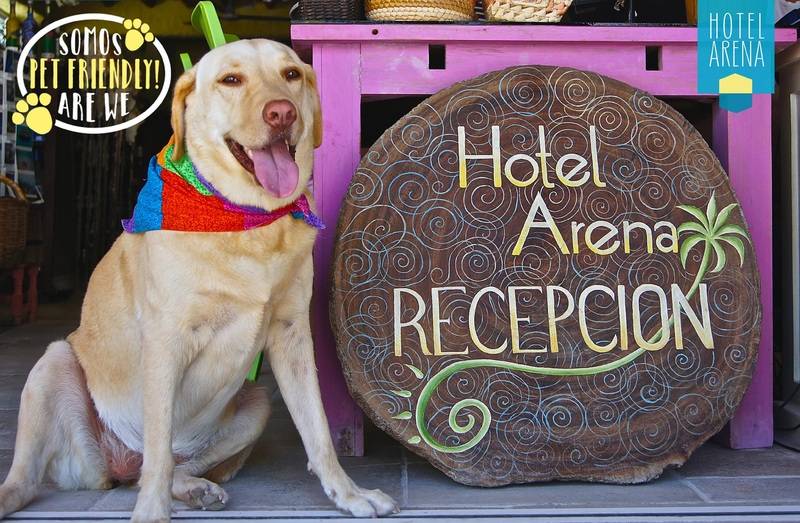 Fotos del hotel Arena:  15